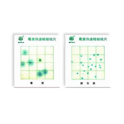霉菌、酵母菌測試片